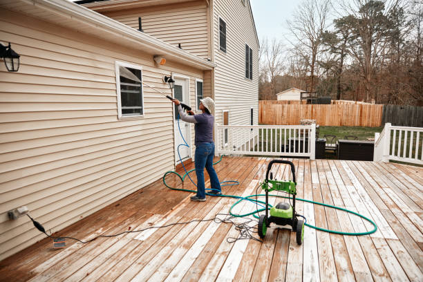 Best House Pressure Washing  in Occidental, CA