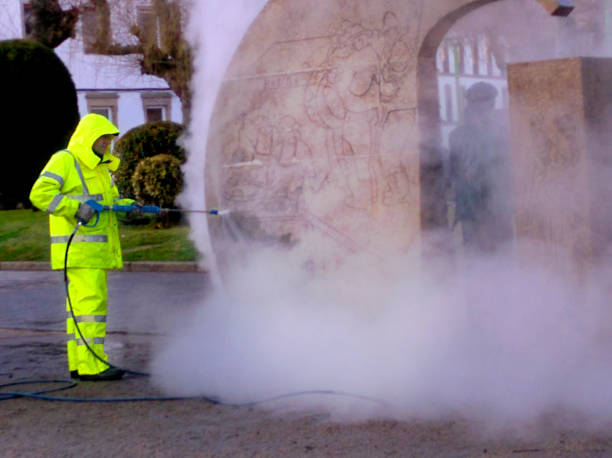 Best Residential Pressure Washing Services  in Occidental, CA